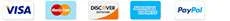 Berrykid theme - footer payment icon