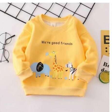 Kids' fashion sweatshirts - Tiny Grews