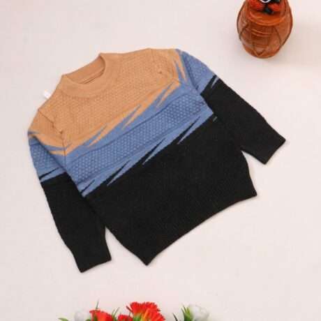 Baby boy sweater- Tiny Grews baby wear online