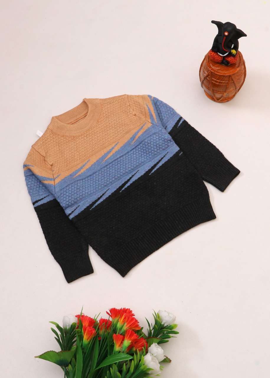 Baby boy sweater- Tiny Grews baby wear online